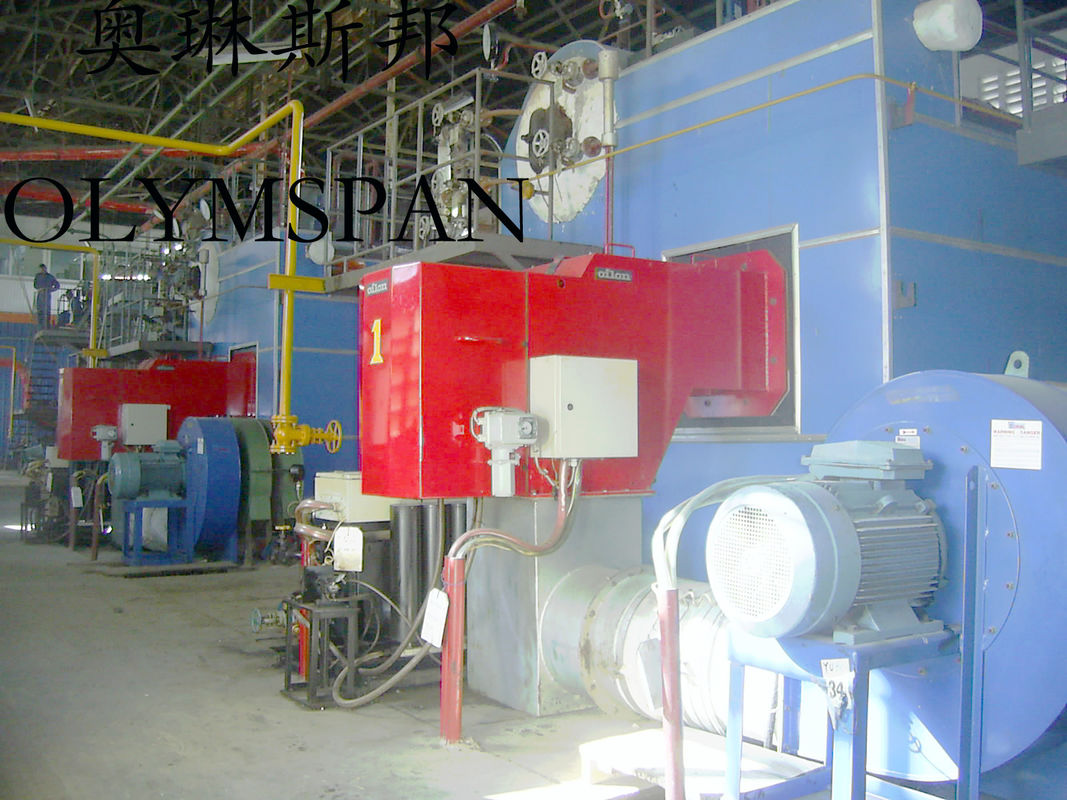 Horizontal Hot Oil Fired Electric Thermal Oil Boiler With High Heat