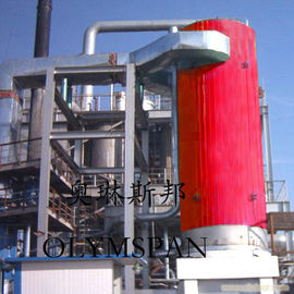 China Electric Gas Fired Thermal Oil Boiler 1.6 Mpa With Horizontal And Vertical supplier