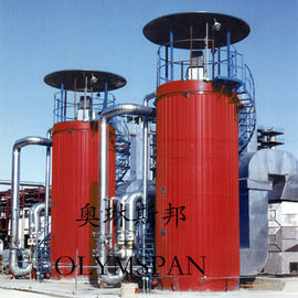 China Automatic Gas Fired Vertical Thermal Oil Boiler High Efficiency ASME Standard supplier