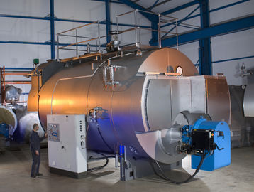 China Combustion 10 Ton Gas Fired Steam Boiler With Stainless Steel Plate supplier