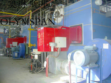 China Horizontal Hot Oil Fired Electric Thermal Oil Boiler With High Heat Efficient supplier